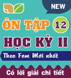 Ôn tập Học kỳ II (TA_12)